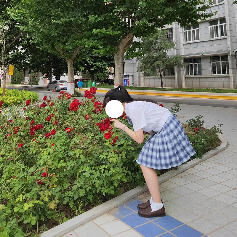 Японский Для женщин Высокая Талия Серый белая клетчатая юбка молодая девушка