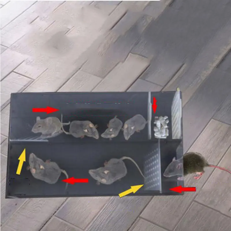 Ловушка для мыши артефакт домашняя Автоматическая ловушка непрерывного