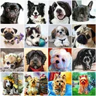 MomoArt Алмазная вышивка собака картина стразы Алмазная мозаика животное пейзаж вышивка крестом наборы Алмазная Живопись Новое поступление Украшение дома