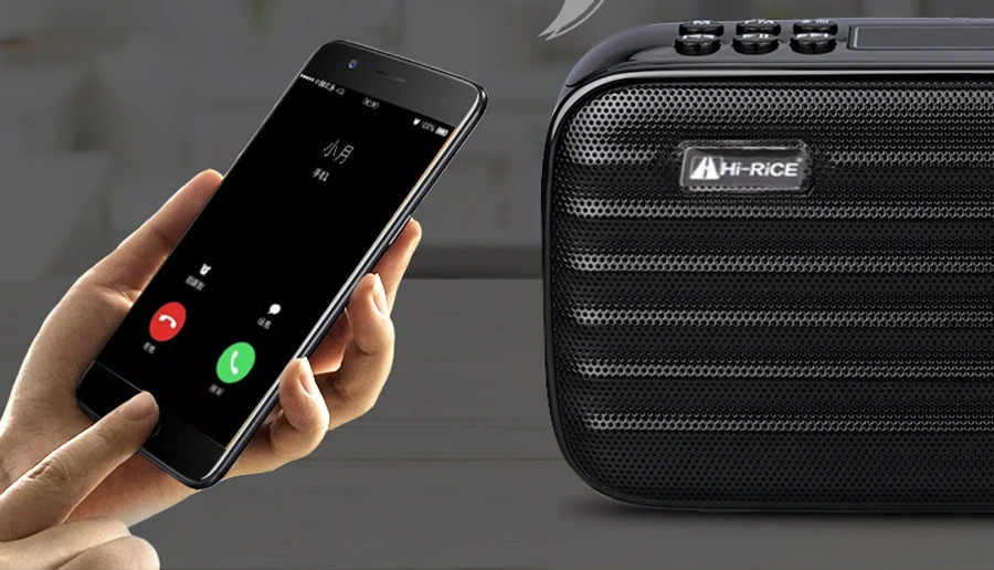 REC LED портативный FM/AM радио USB TF карта MP3 плеер цифровой динамик Bluetooth Hi Rice SD