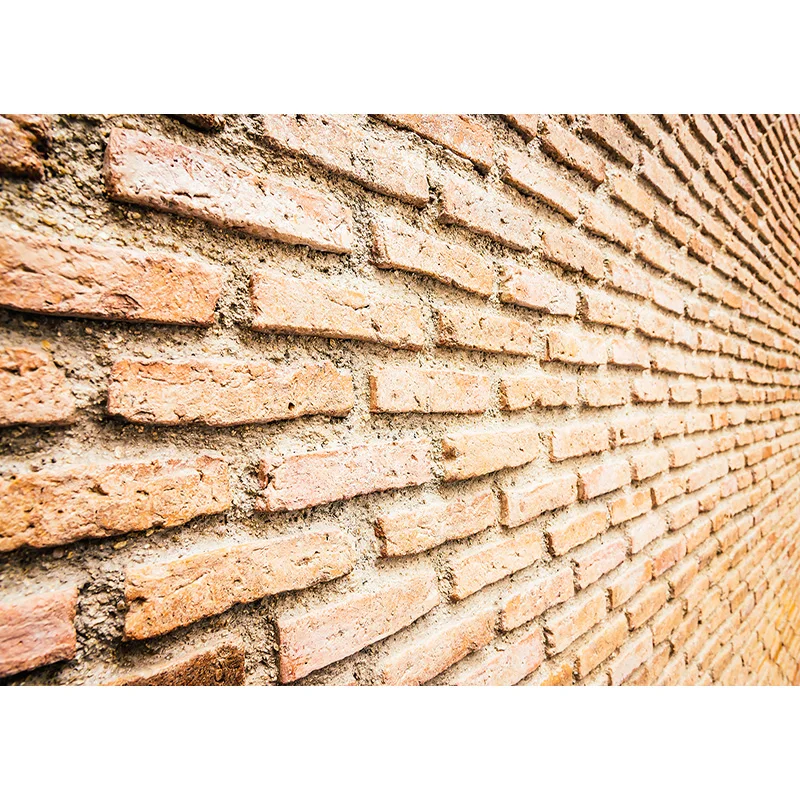 

SHENGYONGBAO Vinyl Custom Photography Backdrops Brick Wall Theme Photo Studio Background 20026KM-06