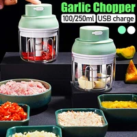 100250ml electric garlic masher garlic press vegetable chili meat garlic chopper press usb masher machine kitchen gadgets
