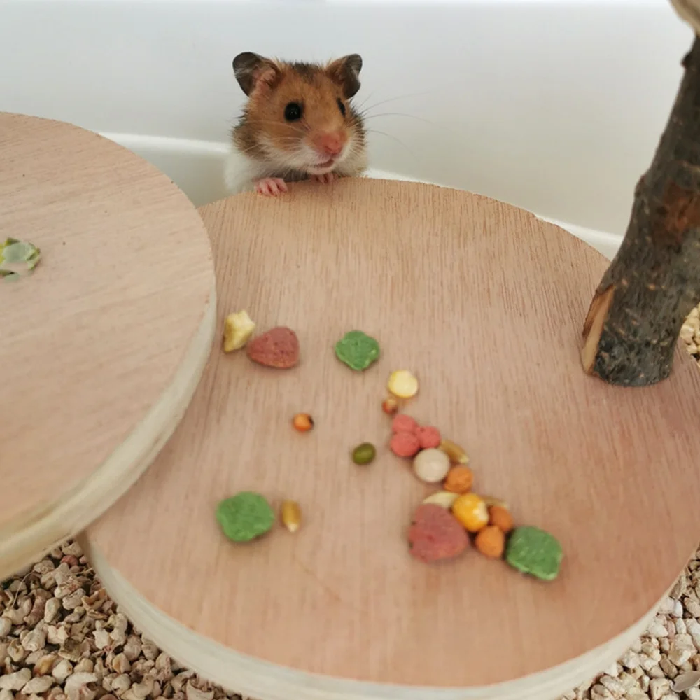 

Wooden Climbing Ladder Hamster Playing Parrot Hamster Climbing
