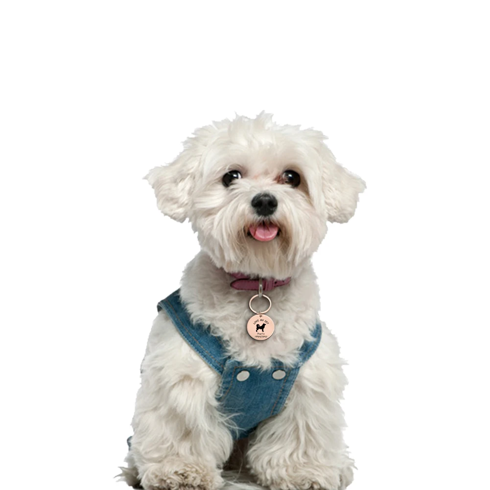 Идентификационная бирка для собак персонализированная идентификационная кошек