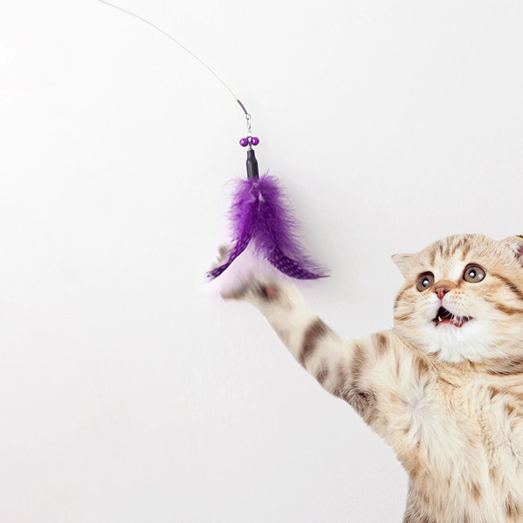 

Cat Teaser Toys Faux Feather Design Cat Wand Interactive Retractable Funny Cats Teaser Play Wand Pet Kitten Interactive Supplies