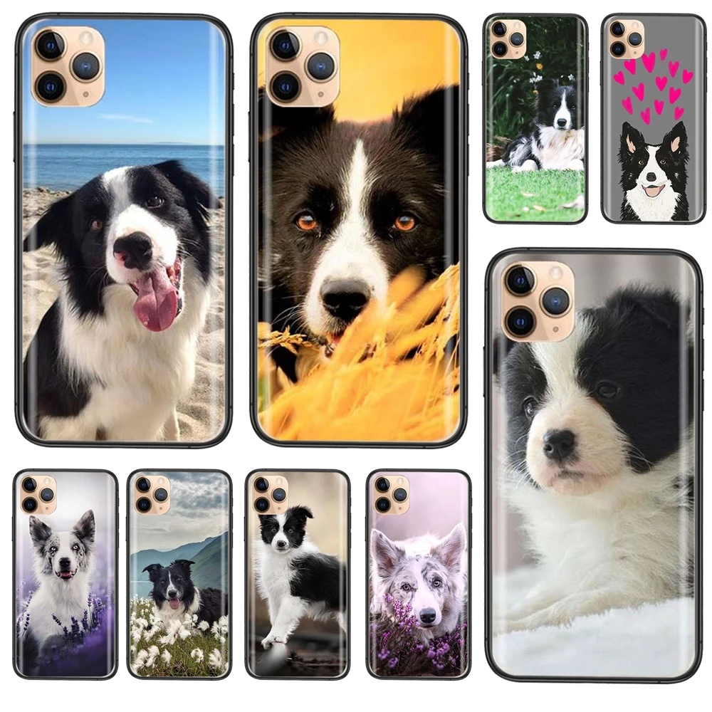 Чехол для телефона из ТПУ с изображением красивой рамки колли лучшего качества