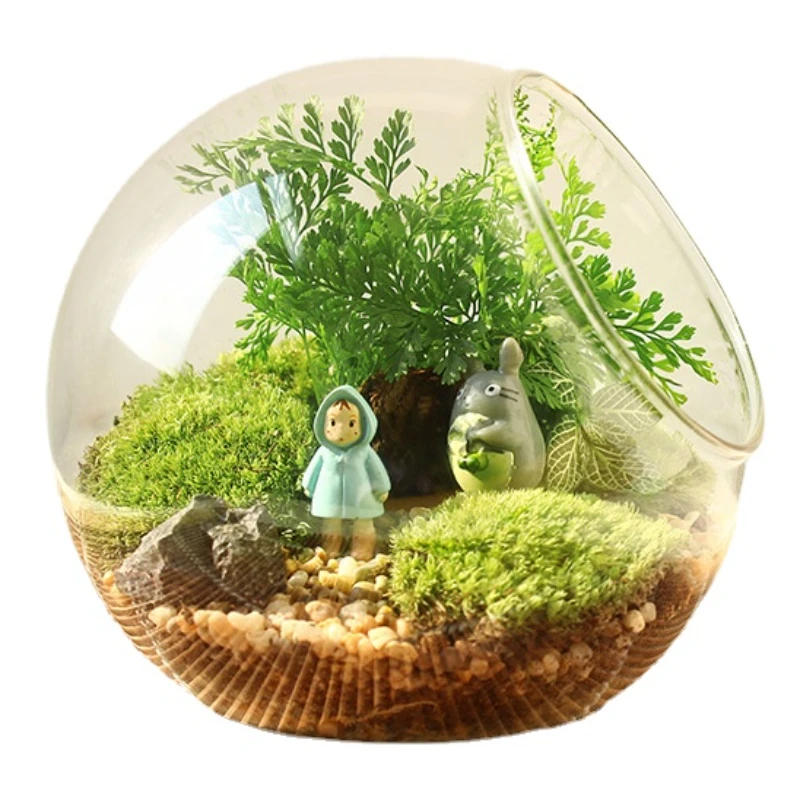 

DIY Micro Landscape Oblique Glass Vase Moss Succulent Ecological Bottle Crystal Glass Home Living Room Kitchen Balcony Ornaments