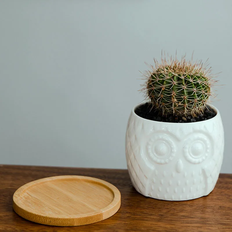 Домашнее украшение мини бонсай белый керамический цветочный плантатор