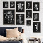 Настенная картина мышц ног костяных мышц, кардиомагнит и холст, скандинавские постеры и печатные украшения для врача и офиса