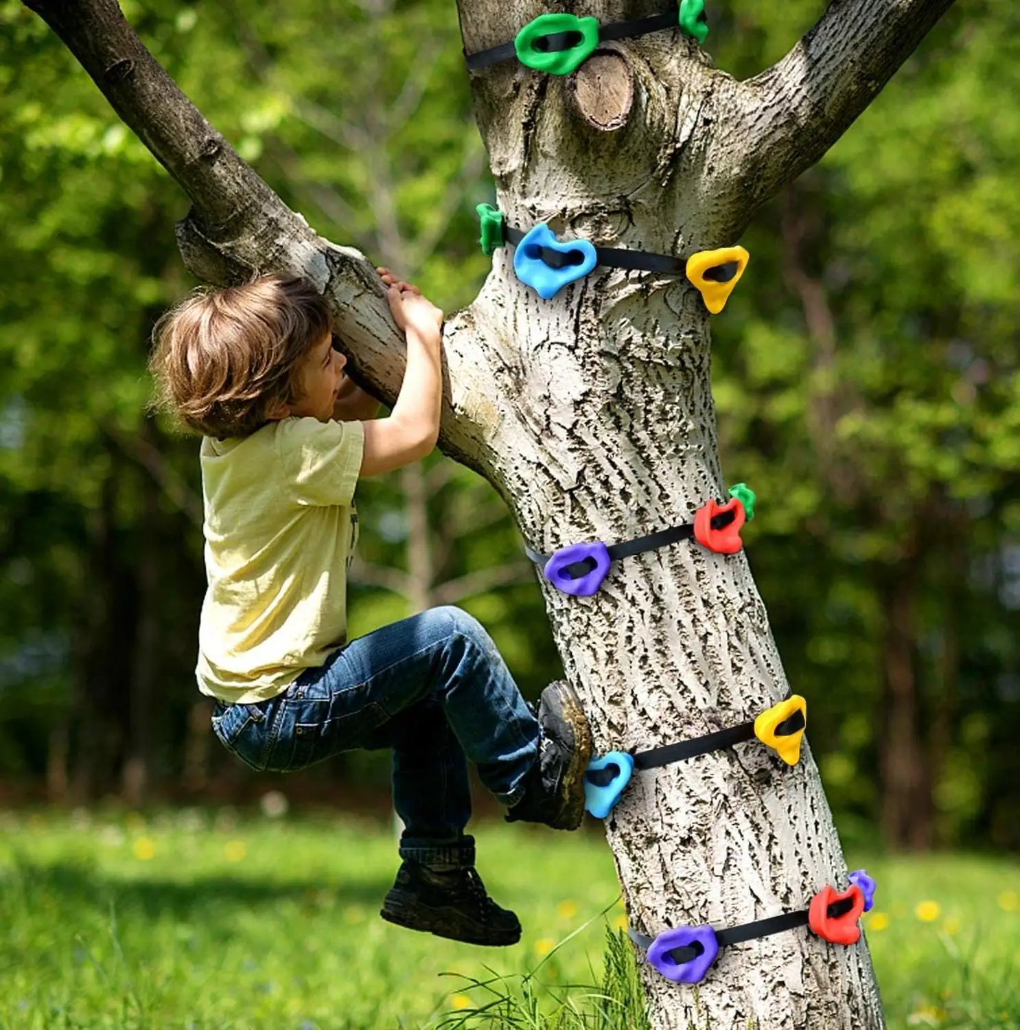 Can you climb a tree. Скалодром на дереве. Дерево для лазанья. Скалолазание на деревьях. Лазание по деревьям.