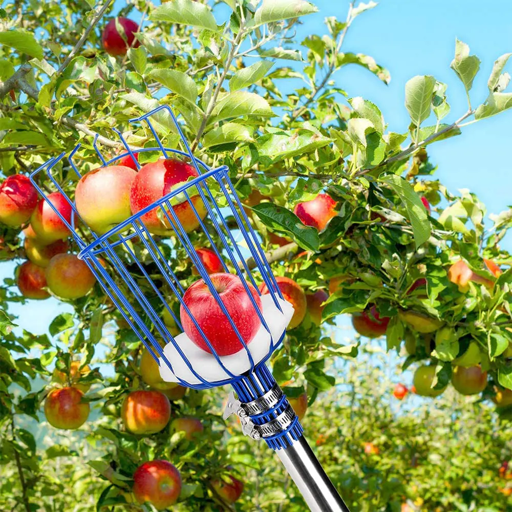 

Blue Fruit Picker Basket Apple Picking Harvester Tree Fruit Picking Tool with Cushion Orchard Garden Hand Tools Add You Own Pole