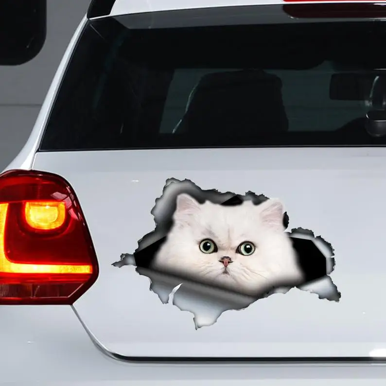 

2021 White Persian cat car decal , white cat magnet, Persian cat sticker