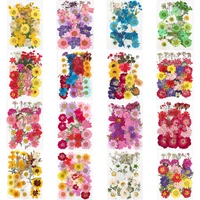 pressed small real dried flower dry plants for diy candle epoxy resin pendant necklace jewelry making craft accessories supplies