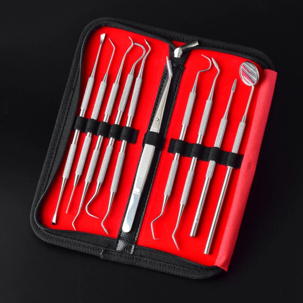 

1 Set/10pcs Hygiene Kit Teeth Whitening Tools Calculus Plaque Remover Set Clean Teeth Kit Stainless Steel with Lamp witho