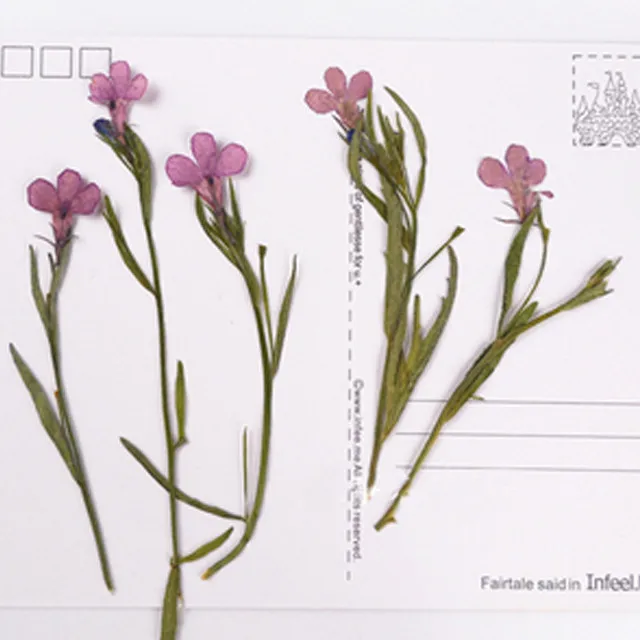 Голубой цветок на стеблях Lobelia 1 пакет/120 шт. для рукоделия оптовая продажа