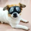 Изображение товара 4