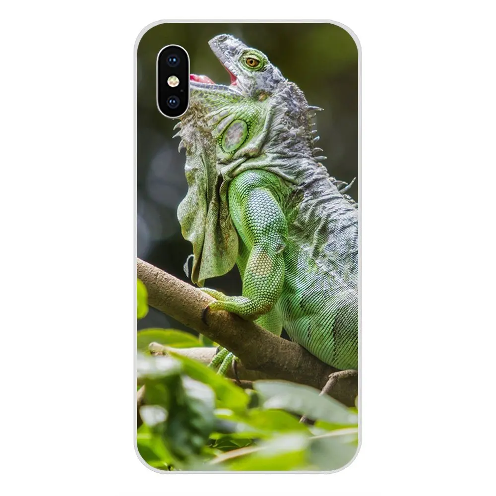 as picture Для Xiaomi Redmi Mi 4 7A 9T K20 CC9 CC9e Note 7 9 Y3 SE Pro Prime Go Play чехлы для телефонов с рисунком животных Игуана Хамелеон ящерица - Цвет: as picture