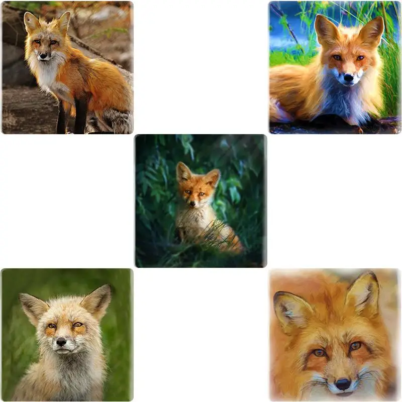 TAFREE натуральное животное лиса Искусство Изображение Модный женский КУПОЛ 12 мм/25