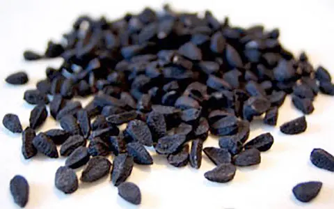 

Black Cumin Seed (Black Seed) Oil 250 ml. Nigella sativa Cold Press