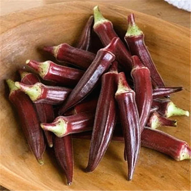 20 шт горшечных Весна посева семян овощи Бонсай терраса вид фрукты и бамия почек