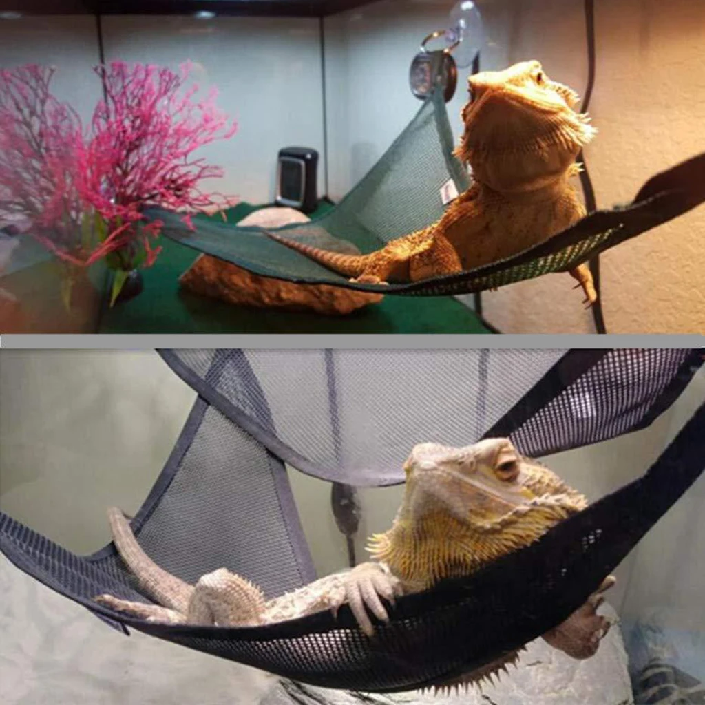 2 шт. пластиковый гамак-ящерица сетчатая кровать для рептилий и лестница больших