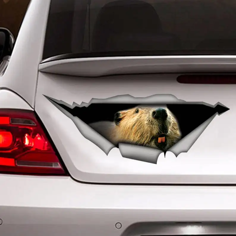 

Sticker, Beaver car sticker , beaver decal, animal sticker