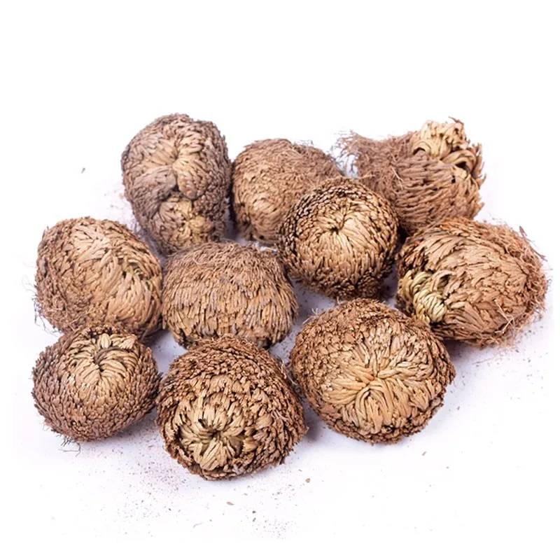 5 сушеных цветов волшебное зеленое растение роза воздушный папоротник