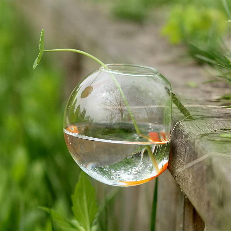 1 шт. полукруглая настенная ваза подвесная стеклянная держатель для аквариума