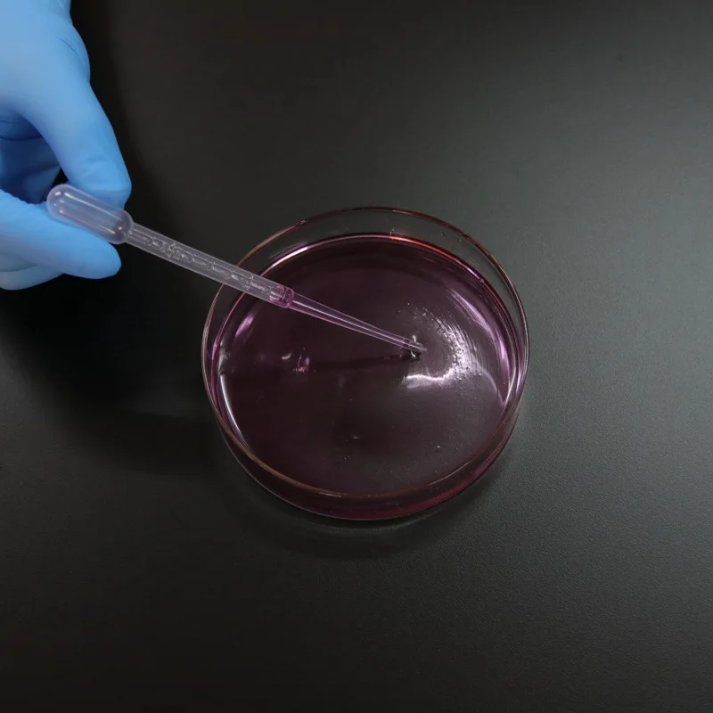 10 шт. 60 мм Стеклянная Чаша Петри лабораторная химическая биология чаша |