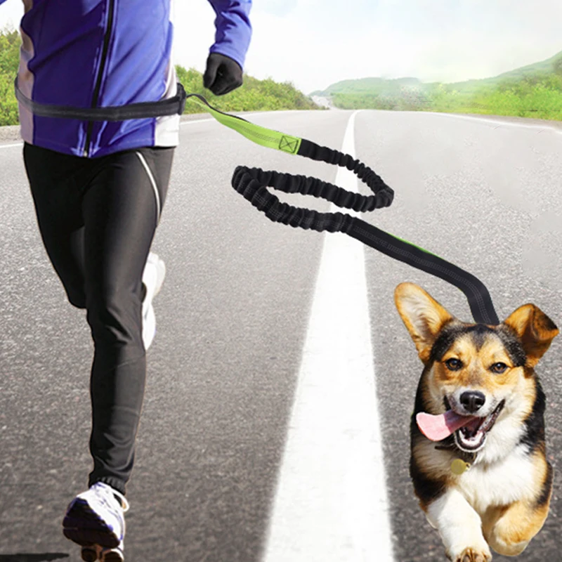 Фото Поводок для собак с регулируемым ремнем амортизирующий банджи бега и занятий