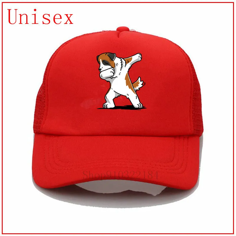 Забавная Мужская Панама с изображением собаки Бернара головные уборы для женщин