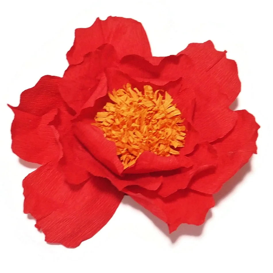 2018 гигантские креп Бумажные цветы 5 шт. + листья бабочки 3 свадебный фон декор