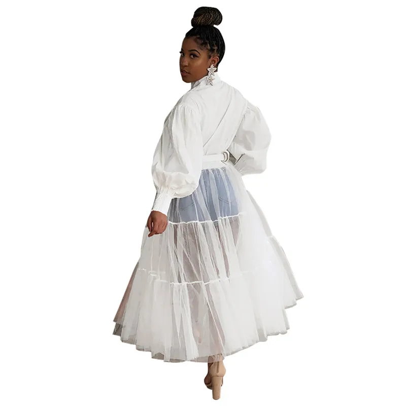 

Women Autumn Spring Lantern Sleeve Shirt Style Dress Streetwear Casual Mesh See-through Dress