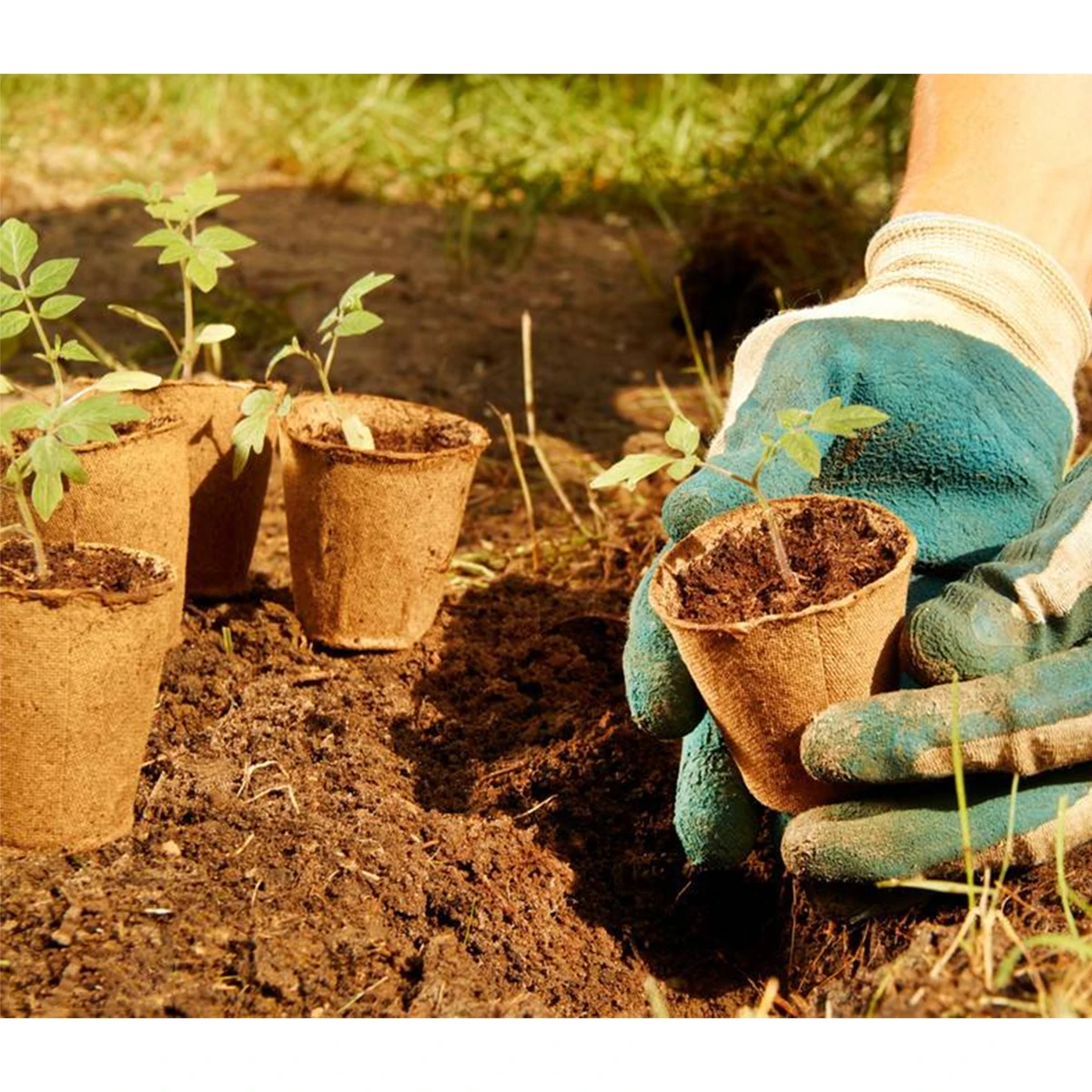 10 шт. металлический цветочный горшок настенный крюк съемный карамельный цвет