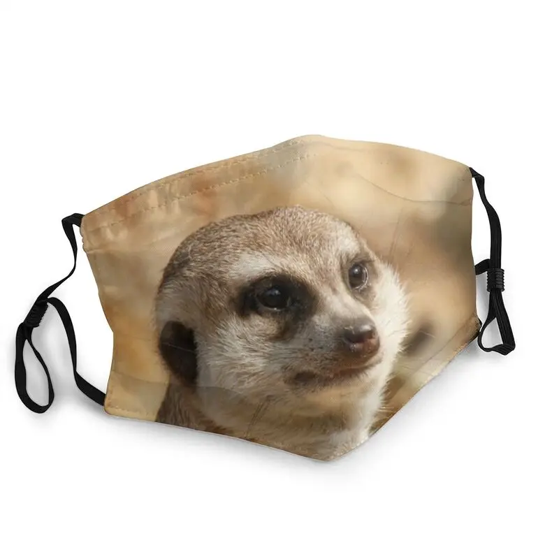 

Meerkat Meme Mask Anti Haze Dustproof Breathable Animal Face Mask Protection Cover Unisex Respirator Mouth-Muffle