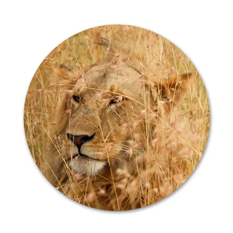 Льва на африканский степной значок брошь заколка аксессуары для одежды рюкзак