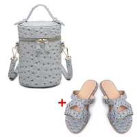 2021 new gray ostrich leather women hot selling shoes and bag set for fashion style matching shoes and handbags set for party