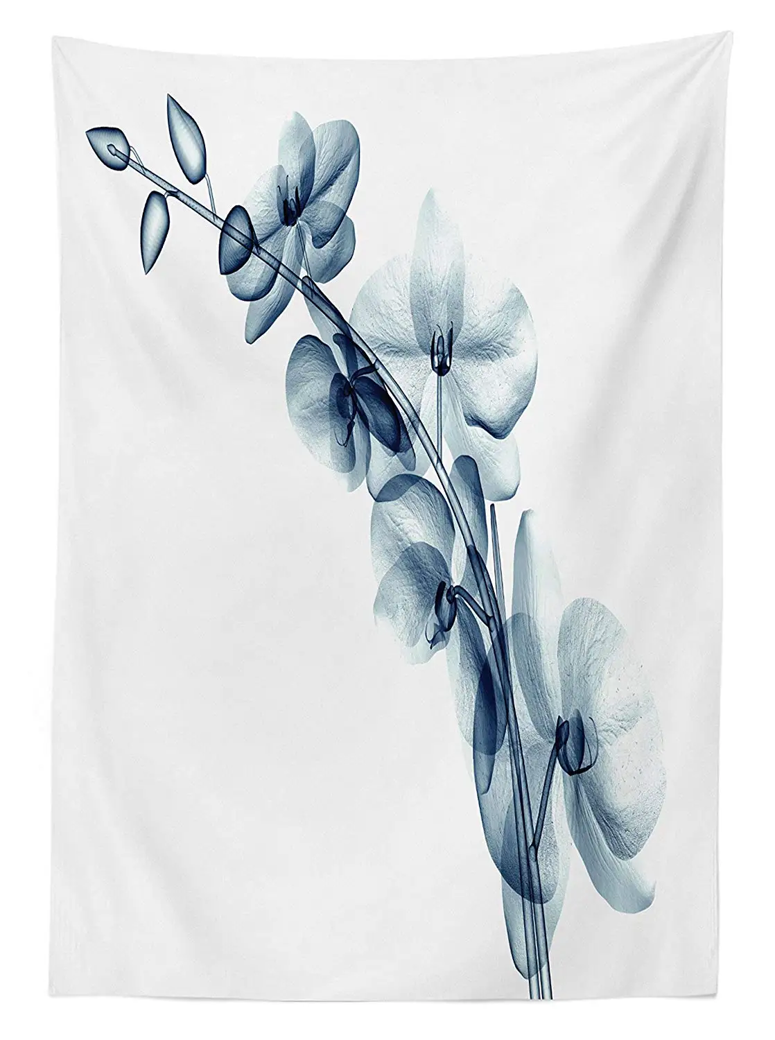 Цветочная скатерть Современная рентгеновская иллюстрация цветка Орхидея