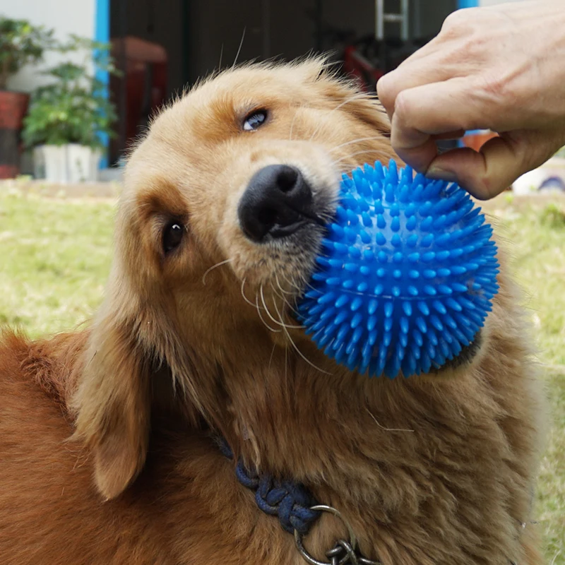 

Pet Dog Cat Puppy Sounding Toys Polka Squeaky Tooth Cleaning Balls Playing Balls Pet Teeth Chew Toy Pet Chewing Accessories