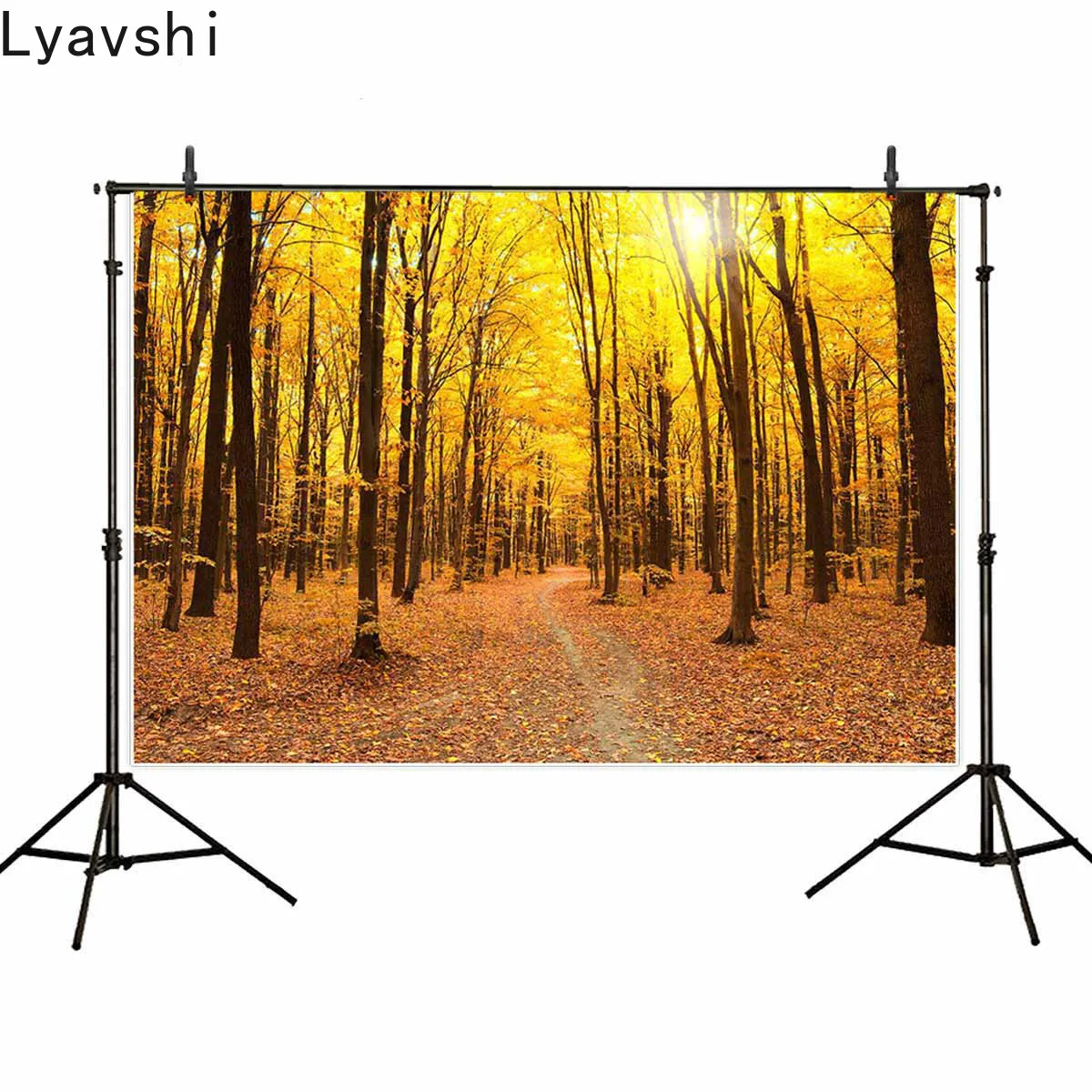 

Lyavshi backgrounds for photography studio Withered yellow trees Fallen leaves in the forest backdrop autumn season