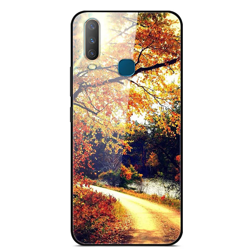 as photo 32 Чехол из закаленного стекла для Vivo Y17, чехол, жесткая задняя крышка для Vivo Y15, чехол для Vivo Y12, чехол из ТПУ, бампер для Vivo Y3, чехол, Funda - Цвет: as photo 32