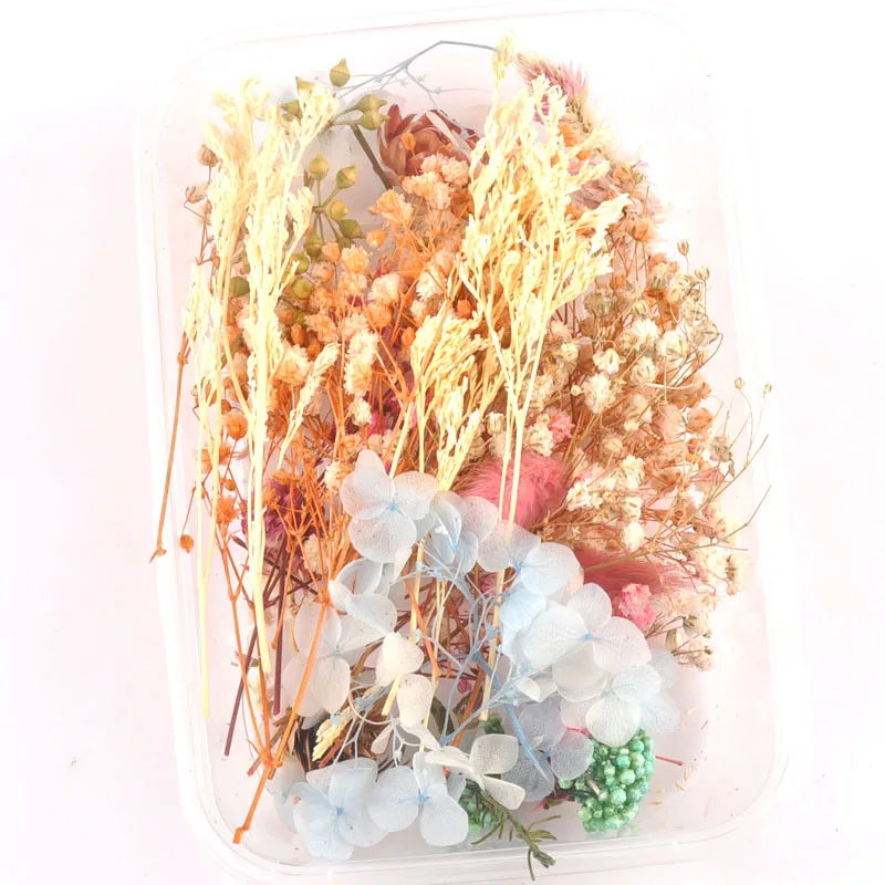 1 коробка случайные красочные настоящие сухие цветы растения для изготовления
