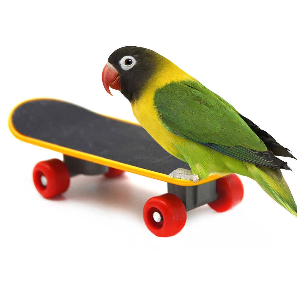 Bird Parrot Toy Set Mini Supermarket Shopping Cart Trolley Skateboard Ring Bell Pet Interactive 3/4 | Дом и сад