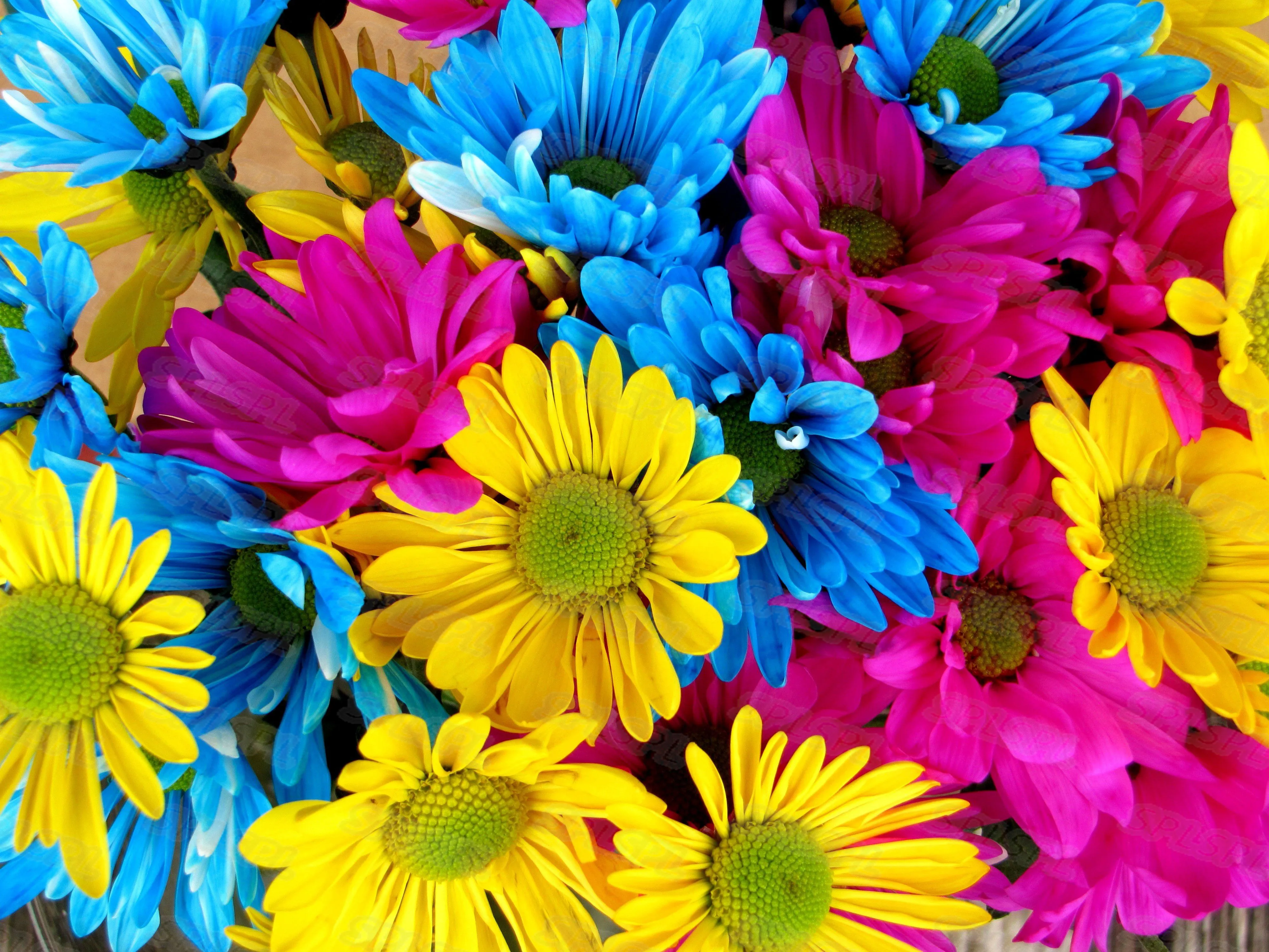 

Diy Diamond Painting Beautiful Different Colors of Colorful Flowers Yellow Blue Sunflowers Girl Heart Peach Blossom Painting