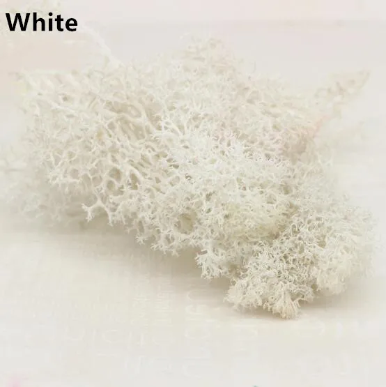 White 20 г Многоцветный Искусственный мох трава искусственный цветок растение мох украшение дома гостиной DIY Садовый цветок Декор Аксессуары - Цвет: White