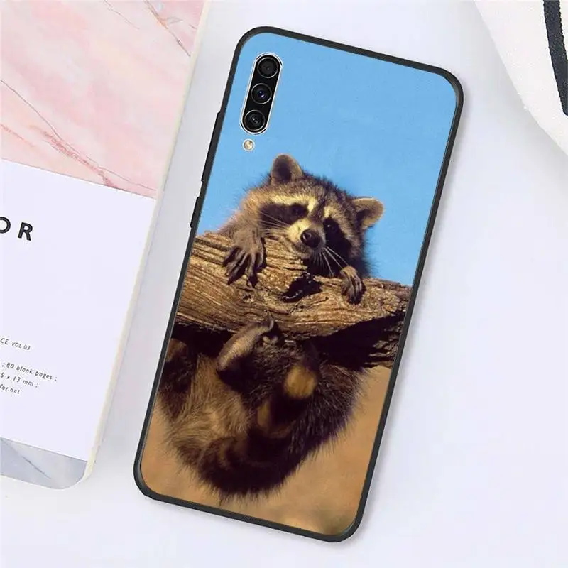 

Raccoon cute animal Phone Case For Samsung galaxy A S note 10 7 8 9 20 30 31 40 50 51 70 71 21 s ultra plus