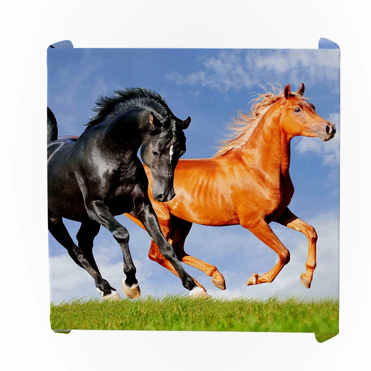 С рисунком лошади небо скатерти девушки дома мужчины пятен стойкий стол