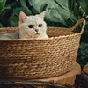 Изображение товара 1