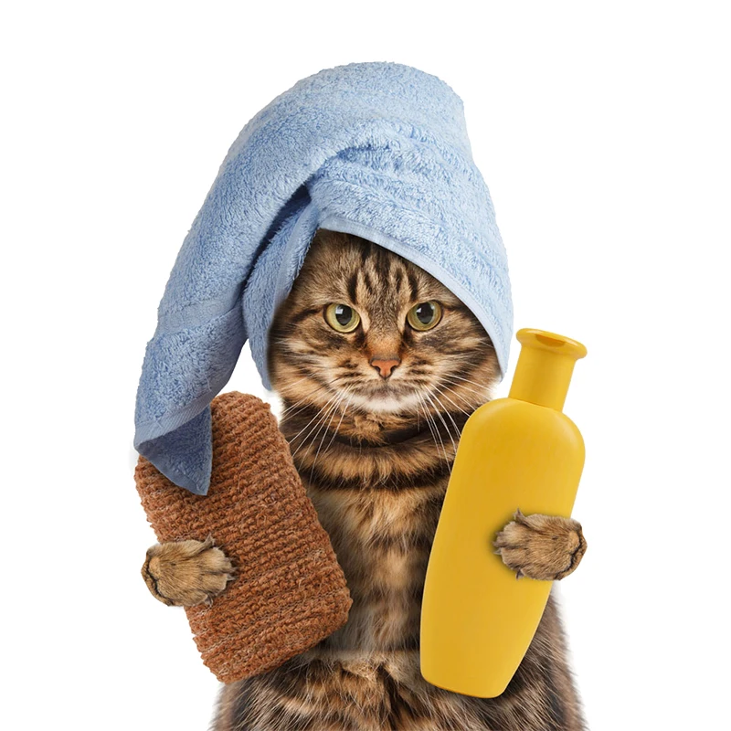 

Cute Cat Shampoo Funny Car-styling Decal CAR Stickers 3d Vinyl Body Door Bumper Decal High Quality KK Vinyl Cover Scratches PVC