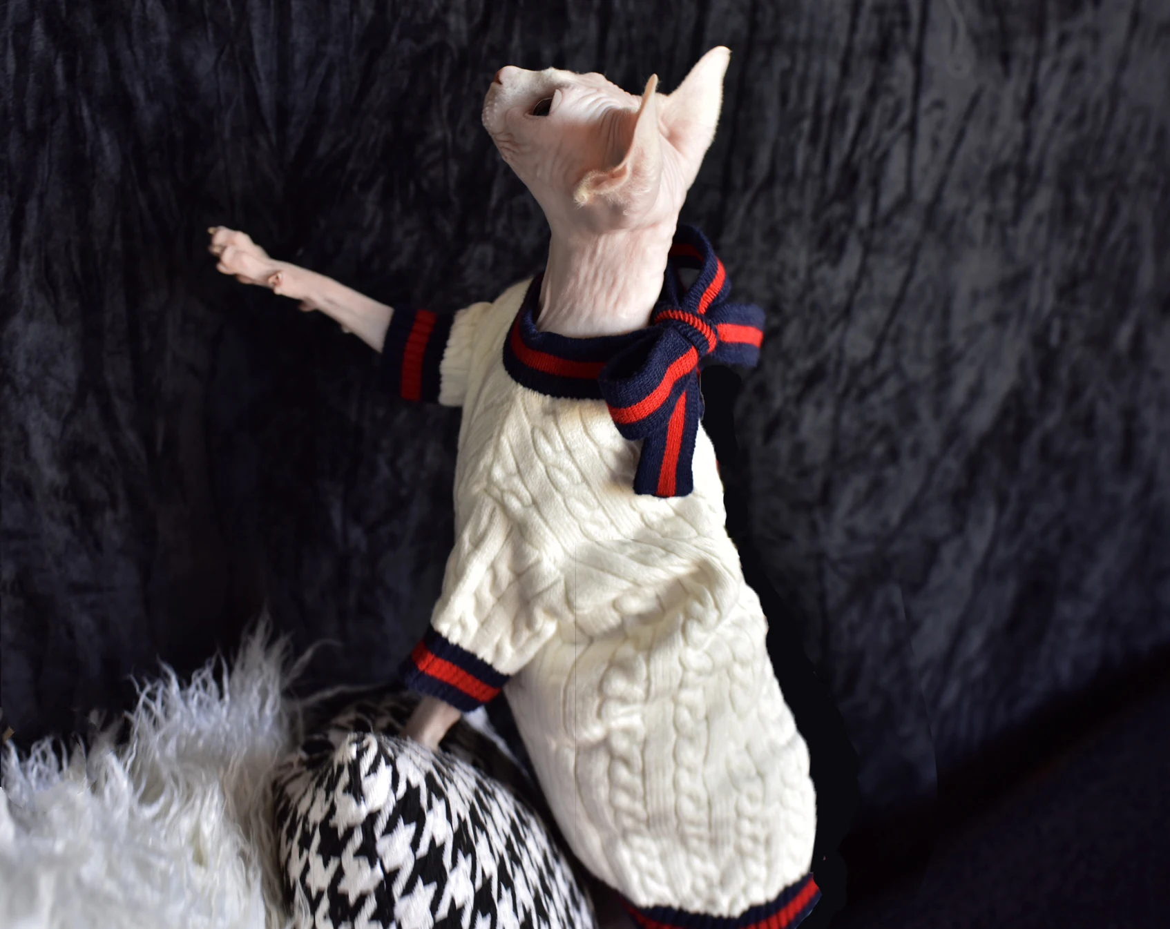 

DUOMASUMI Elegant Lady style Autumn Winter Sphynx Cat Supplies Dress Hairless Cat Clothes Casual Cat Outfits